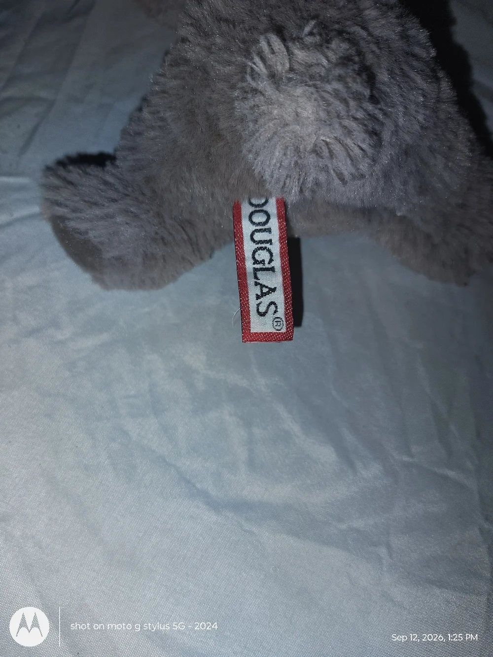 Douglas soft gray